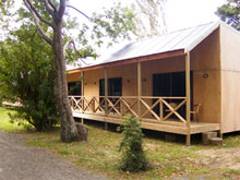Te Araroa Holiday Park Cabin